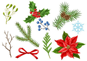 Christmas Plants
