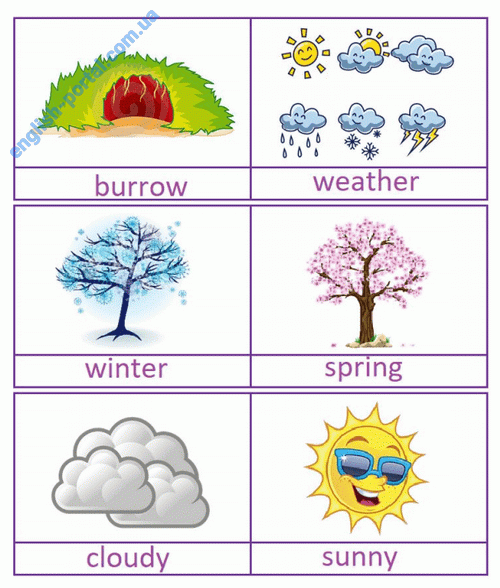 Download Groundhog Day Flashcards