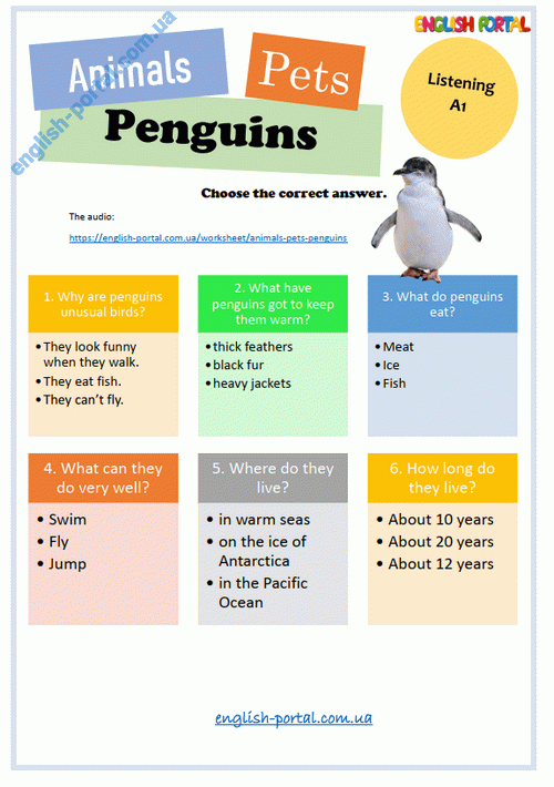 Download Animals/Pets - Penguins Worksheet