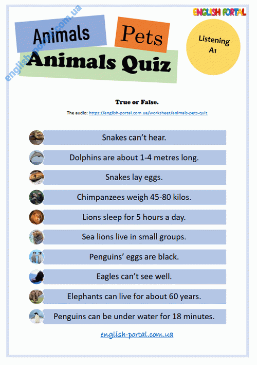 Download Animals/Pets - Quiz Worksheet