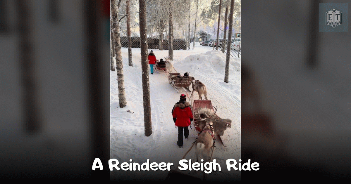 A Reindeer Sleigh Ride