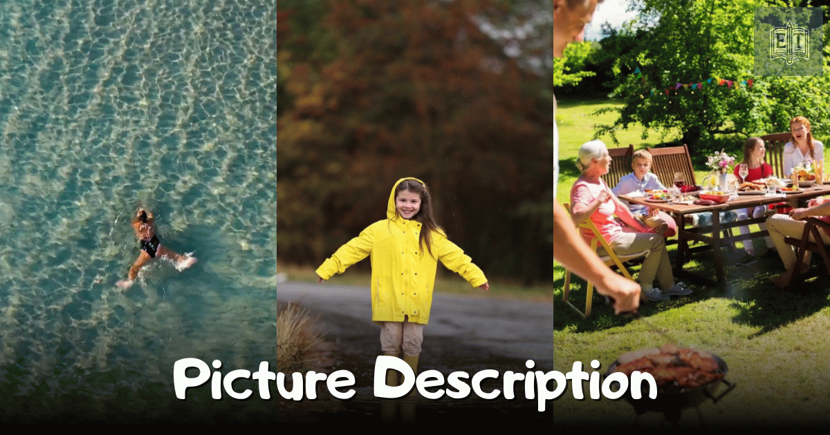 Picture Description