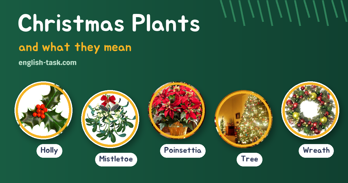 Christmas Plants and What They Mean: Holly to Mistletoe