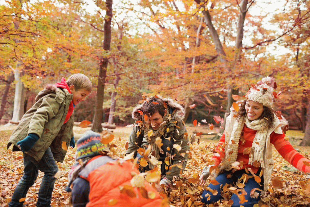 Download Picture description: Playing in the leaves. B1