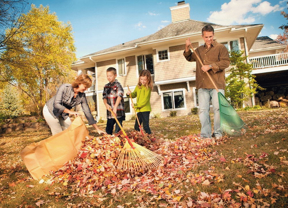 Download Picture description: Raking the leaves. B1