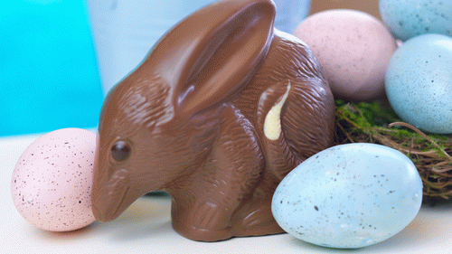 Easter in Australia - English Task