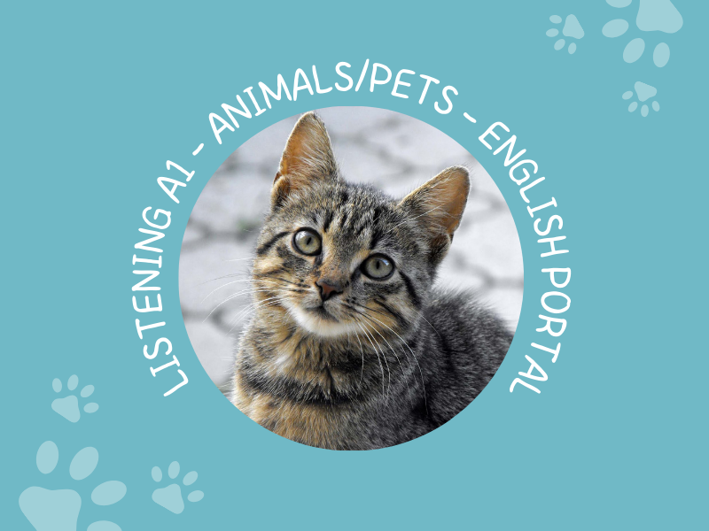 Animals and Pets