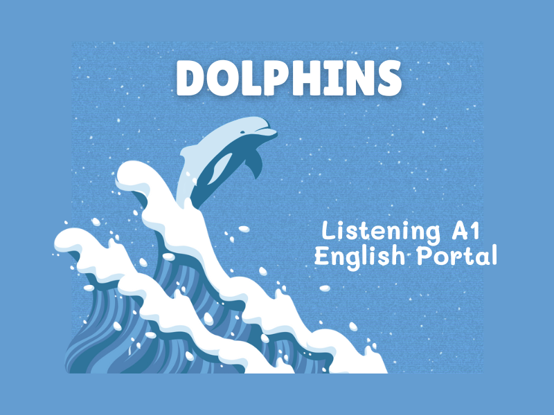 Dolphins