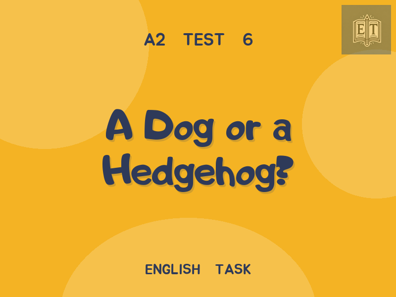 A Dog or a Hedgehog?