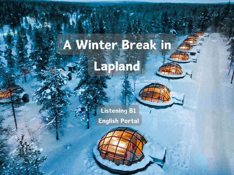 A Winter Break in Lapland