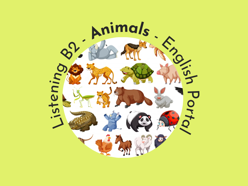 Animals