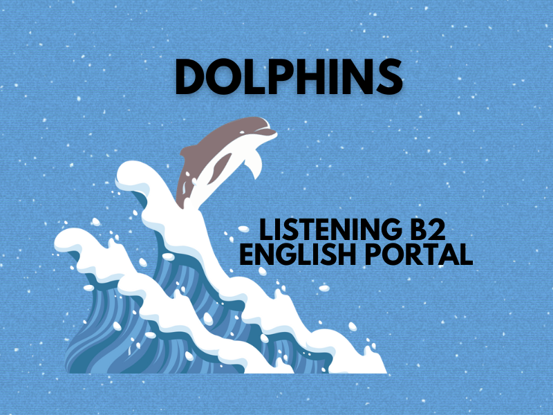 Dolphins