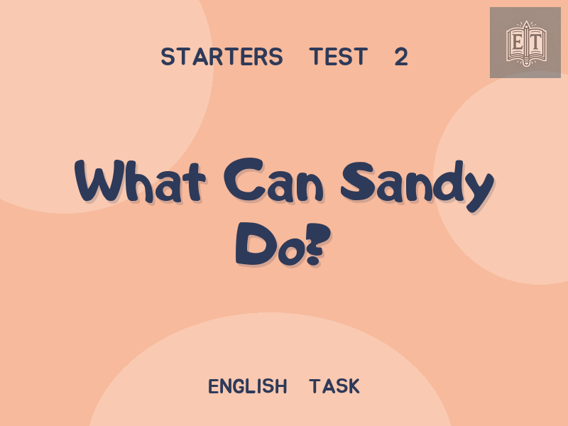 What Can Sandy Do?