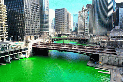Chicago river green - English Task