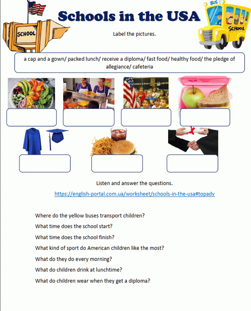 Download Schools in the USA Worksheet