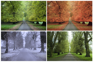 Download Seasons Essay/ Seasons Topic