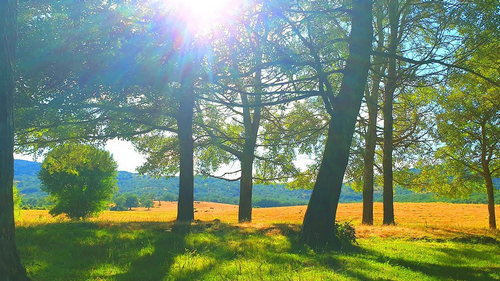 Conversation Questions – Weather