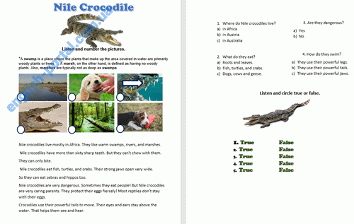 Download Crocodile - Text for Reading Worksheet