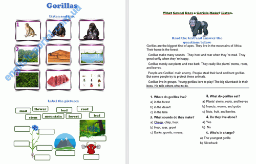 Download Gorilla - Text for Reading Worksheet