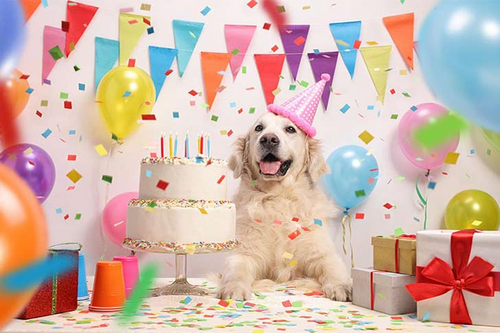 Illustration for an A2 conversation question about birthdays, parties and presents.