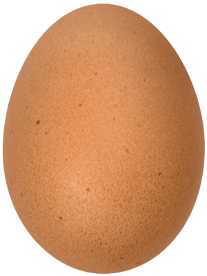 around-the-world-5-2