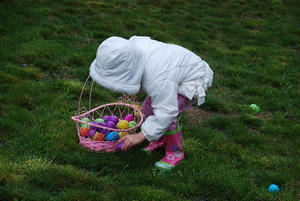 egg hunt