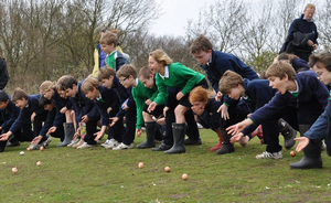 egg rolling