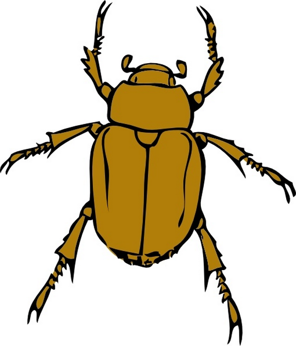 Task Image