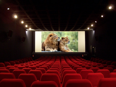 exam-movers-5-6-3-1