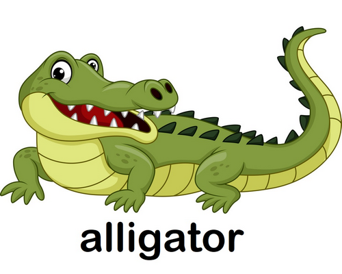 alligator