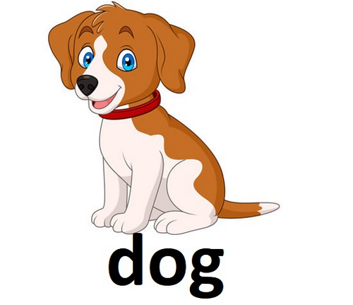 dog