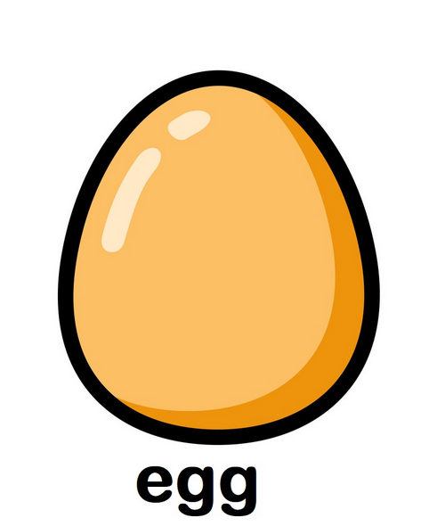 egg