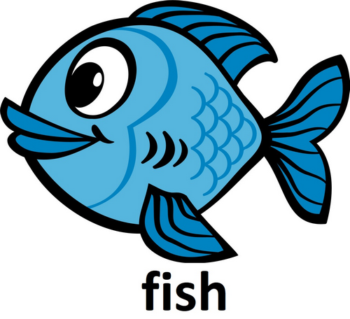 fish