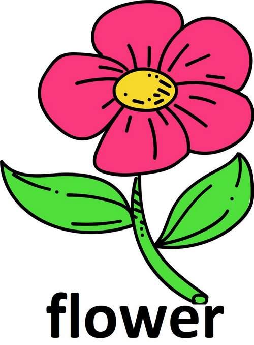 flower