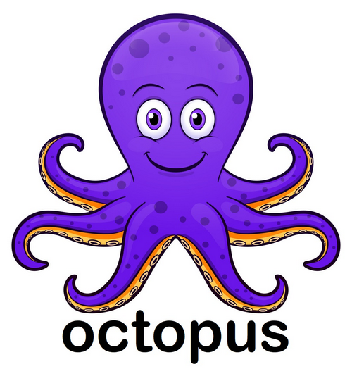 octopus