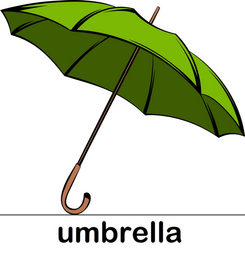 umbrella