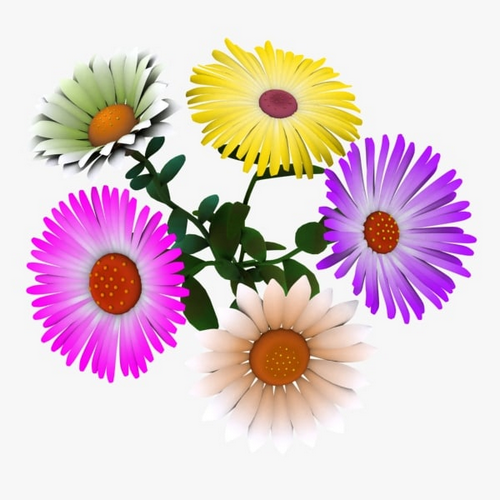 flowers
