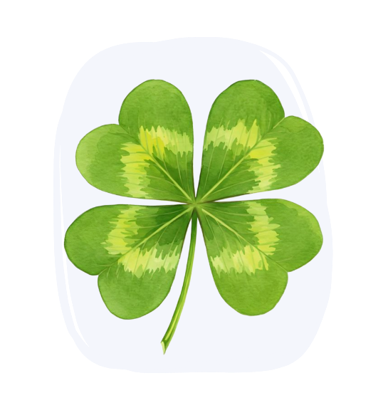 how-to-catch-a-leprechaun-comprehension-12-1