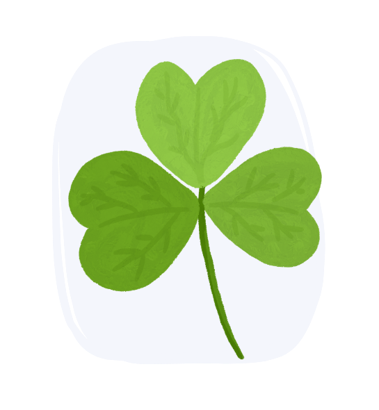 how-to-catch-a-leprechaun-comprehension-12-2