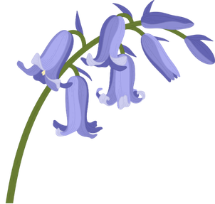 i-see-spring-decorder-bluebells