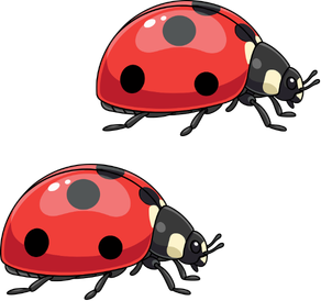 i-see-spring-decorder-ladybugs