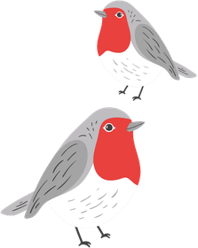 i-see-spring-decorder-robins