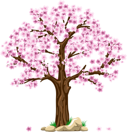 i-see-spring-decorder-spring