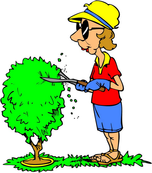 Task Image
