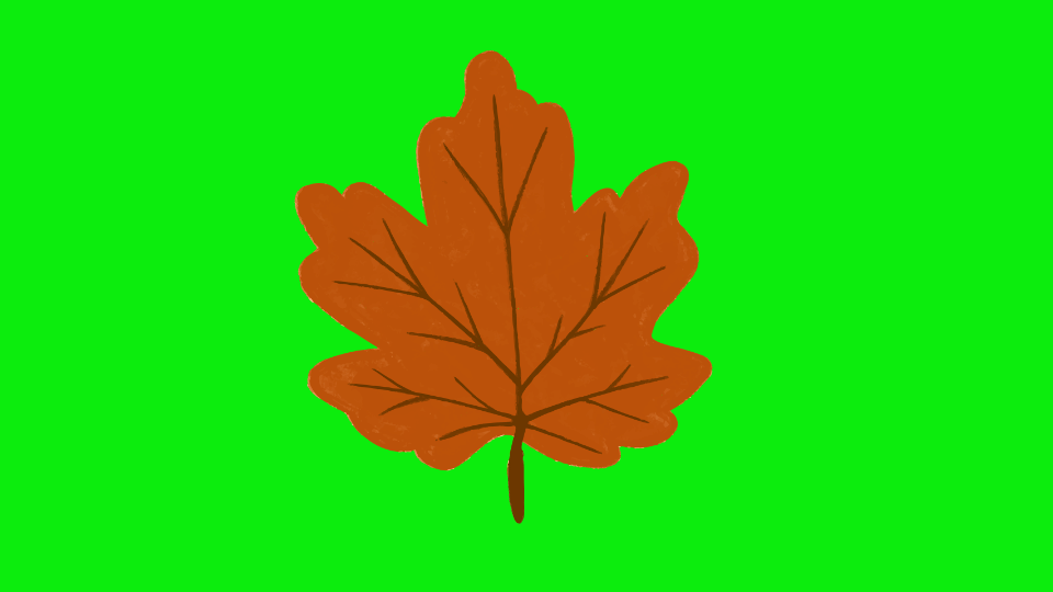leaf-thief-comprehension-3-1