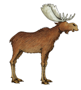 moose-valentine-mouse