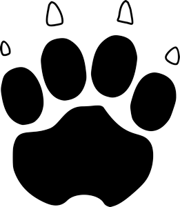 paw