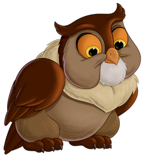 owl
