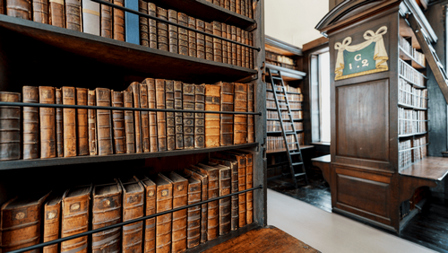 primary-city-library