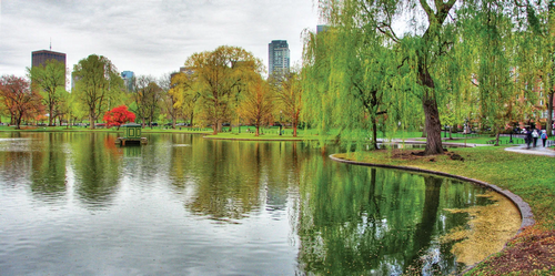 primary-city-park